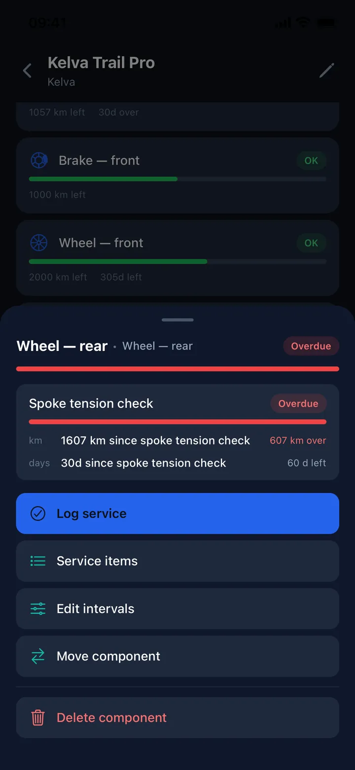 Component detail showing wear tracked across km, hours and days